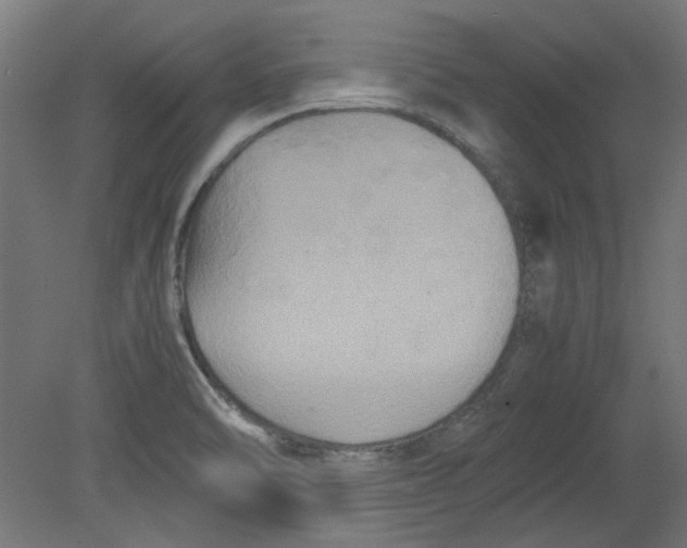 X0000080661470200701050930