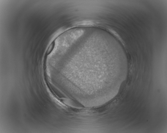 X0000080661475200701050930