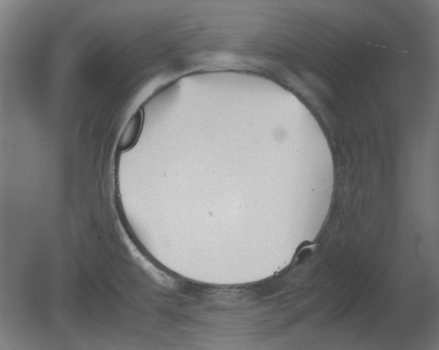 X0000080661479200701050930