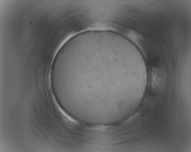 X0000080661484200701050930