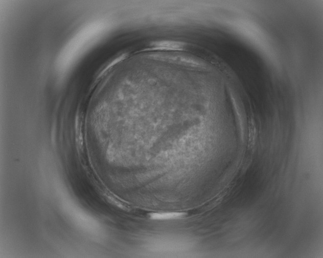 X0000080661487200701050930