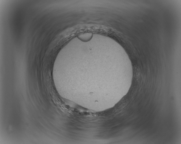 X0000080661489200701050929