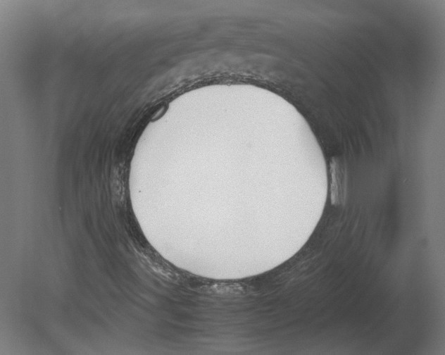 X0000080661491200701050929