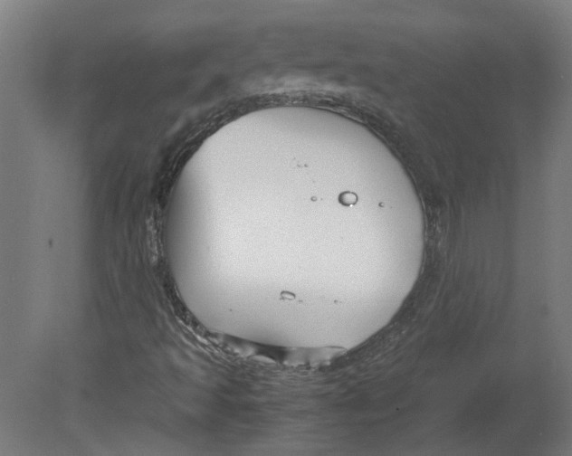 X0000080661493200701050929