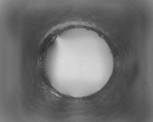 X0000080661495200701050929