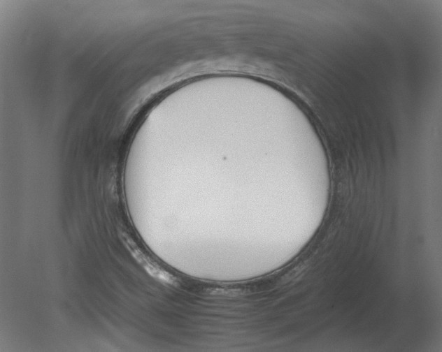 X0000080661499200701050929