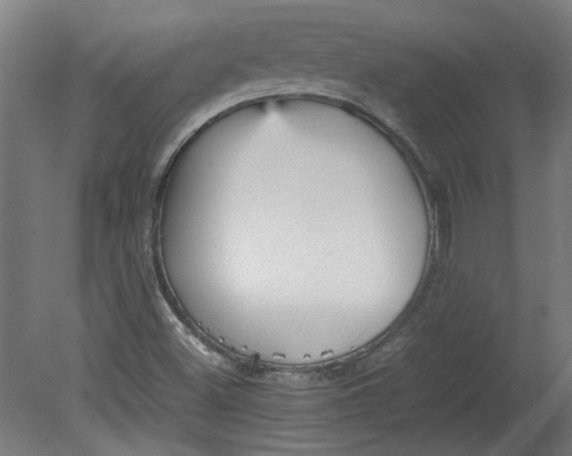 X0000080661500200701050929