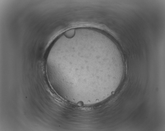 X0000080661501200701050929