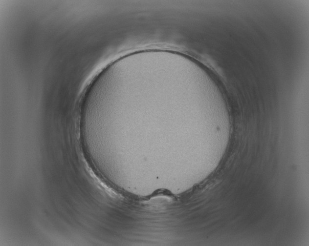 X0000080661504200701050929