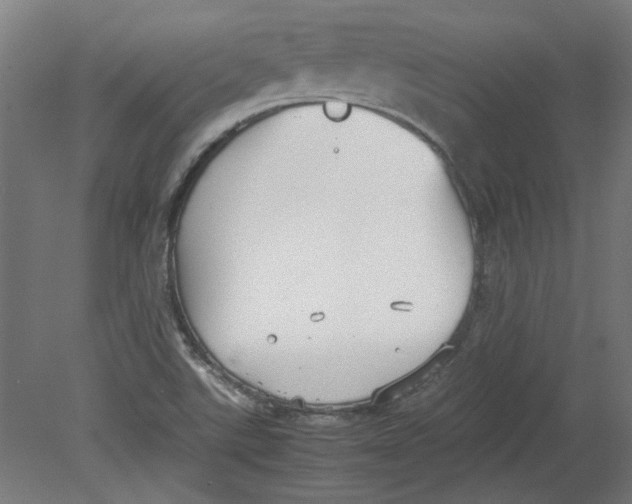 X0000080661507200701050929