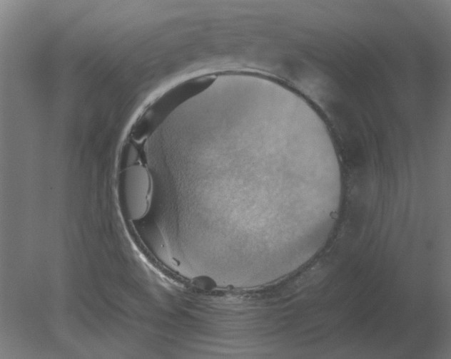 X0000080661508200701050929