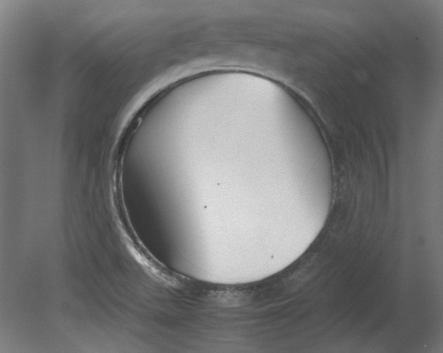 X0000080661511200701050929