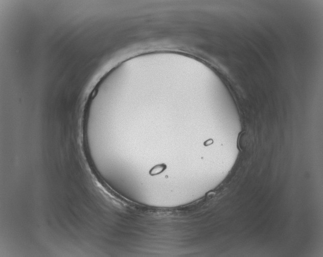 X0000080661512200701050929