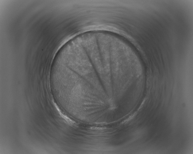 X0000080661513200701050929