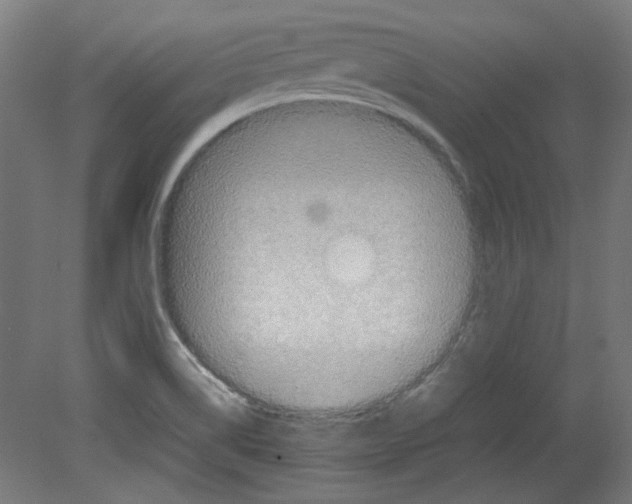 X0000080661514200701050929