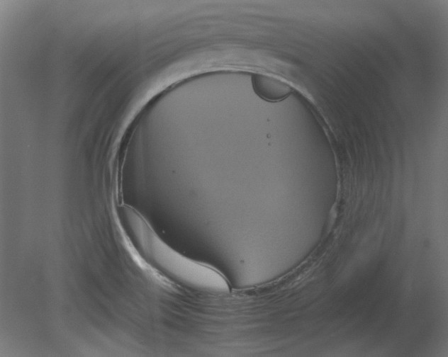 X0000080661515200701050929