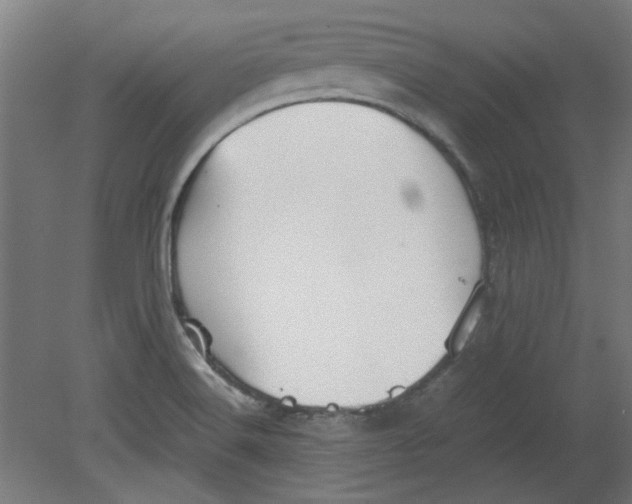 X0000080661516200701050929