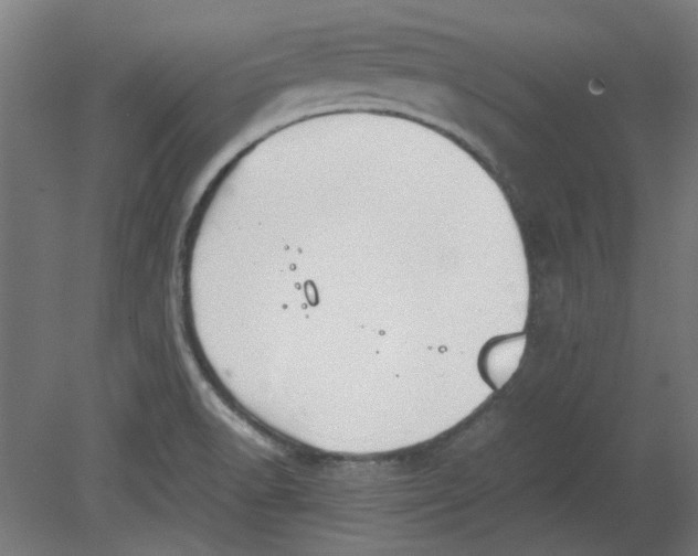 X0000080661518200701050929