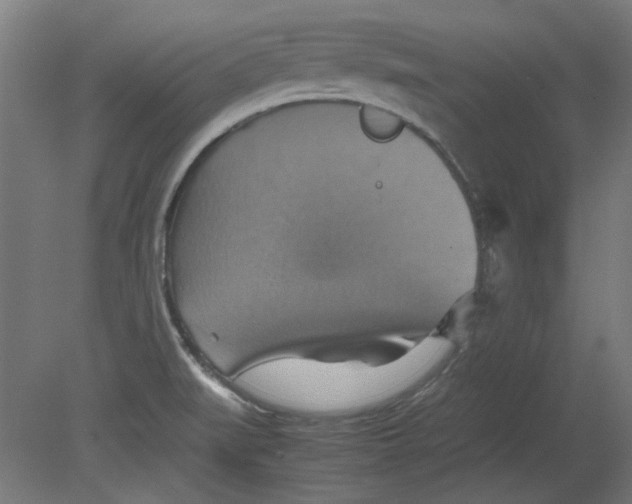 X0000080661519200701050929