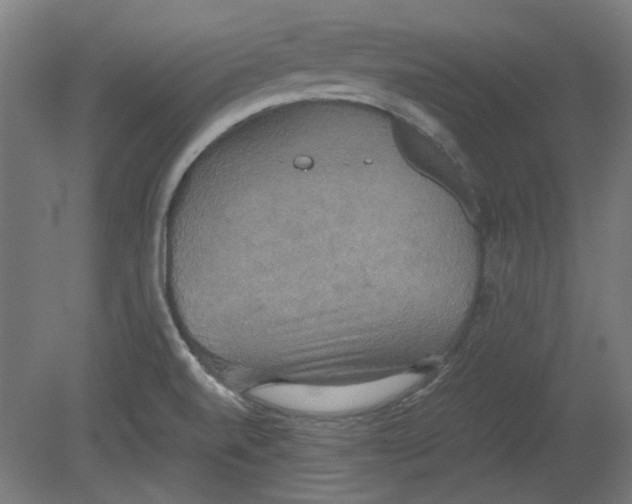 X0000080661520200701050929