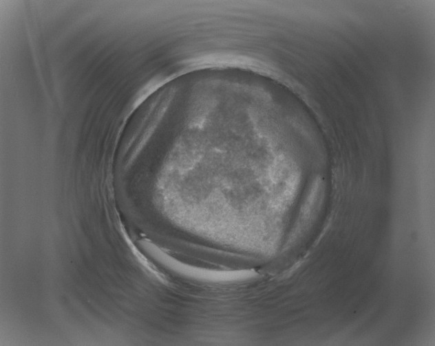 X0000080661521200701050929