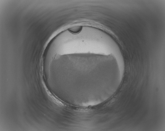 X0000080661522200701050929