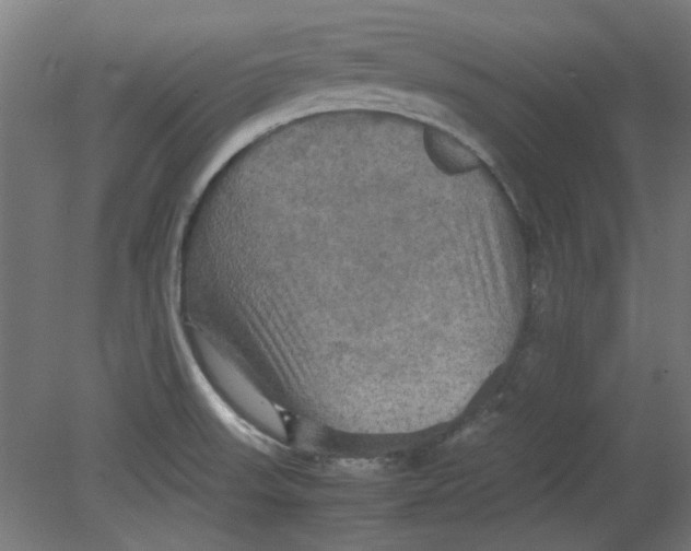 X0000080661523200701050929