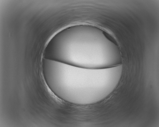 X0000080661524200701050929