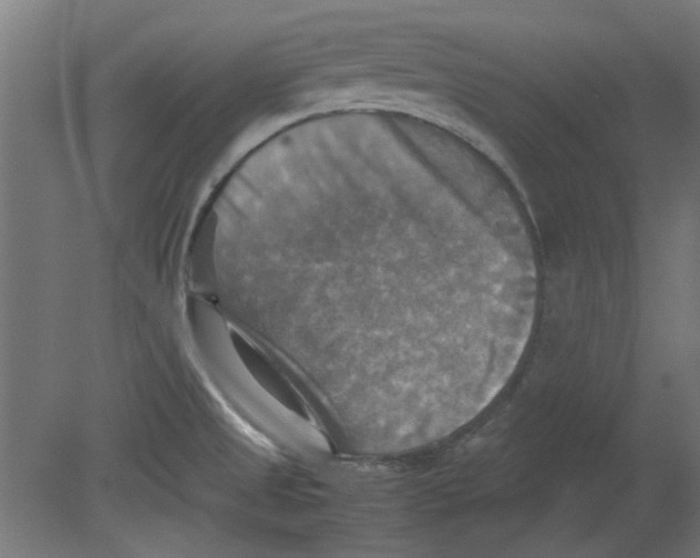 X0000080661525200701050929