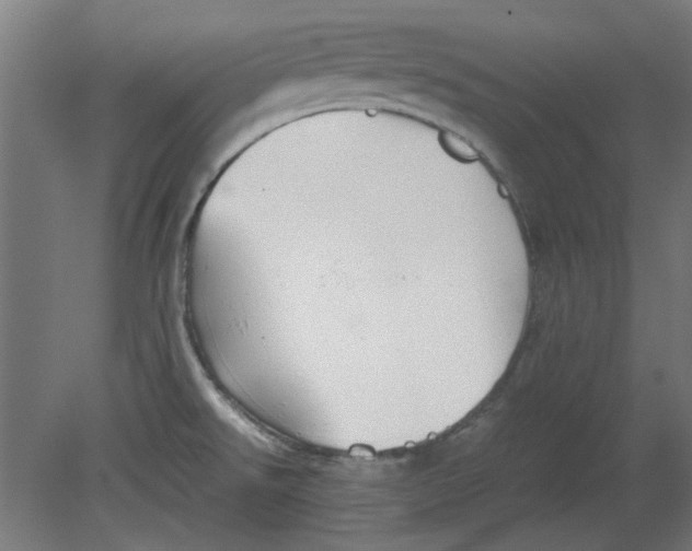 X0000080661526200701050929