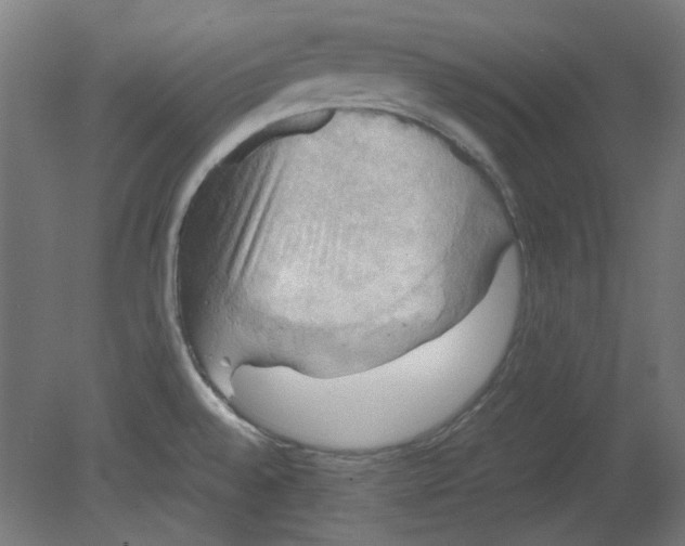 X0000080661528200701050929