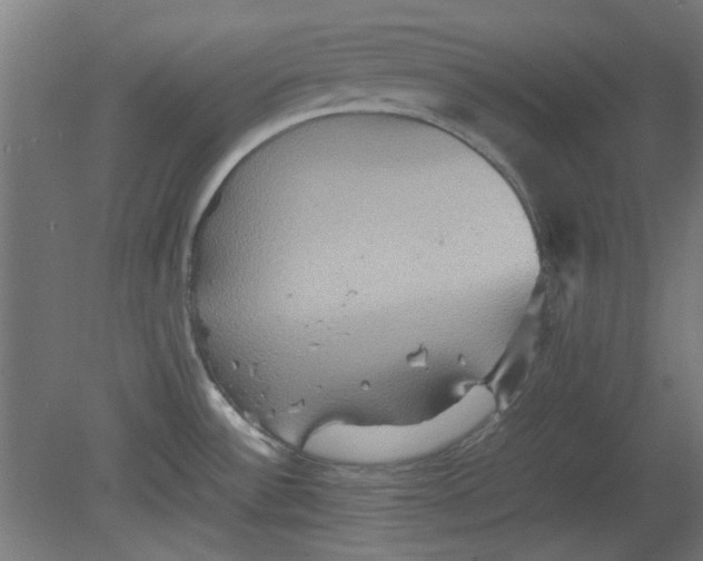 X0000080661532200701050930