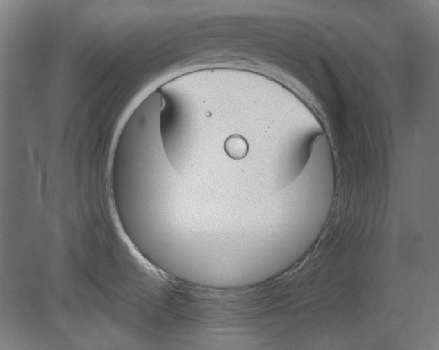 X0000080661536200701050930