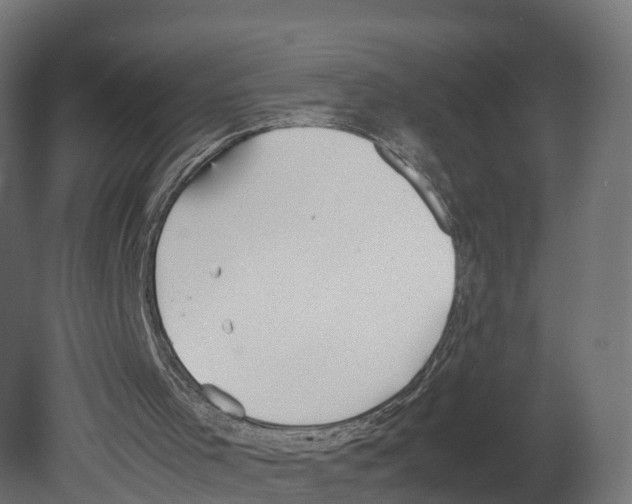 X0000080660001200701121618