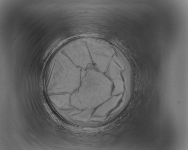 X0000080660002200701121618