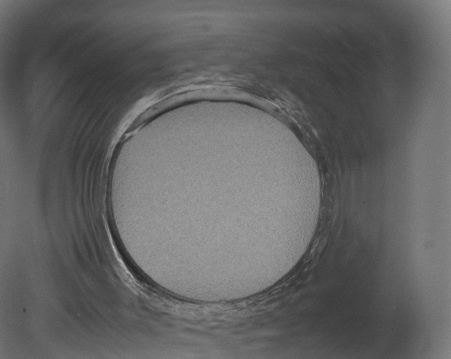 X0000080660003200701121618