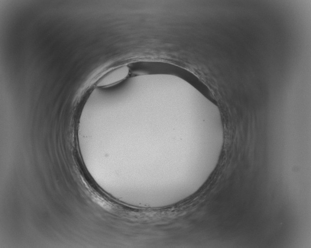 X0000080660005200701121618