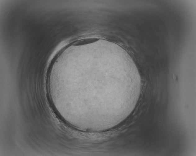 X0000080660006200701121618