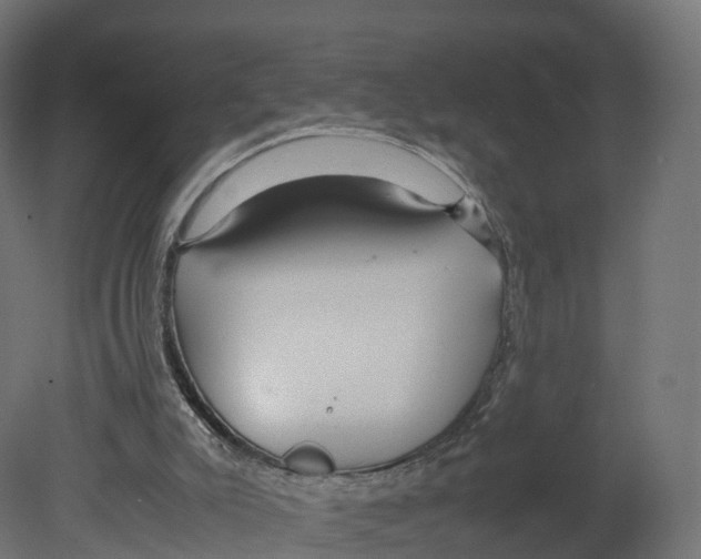 X0000080660007200701121618