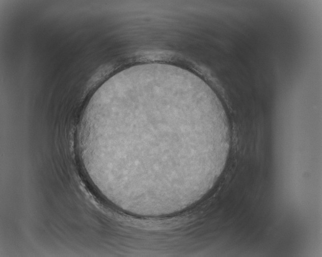 X0000080660010200701121618