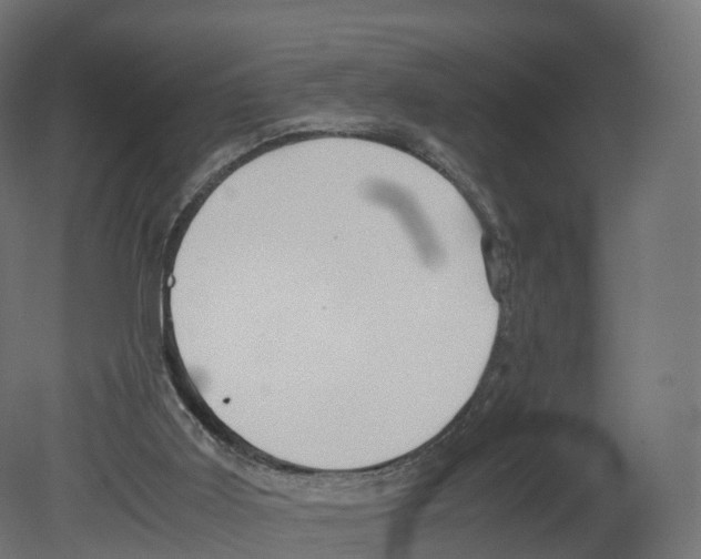 X0000080660011200701121618