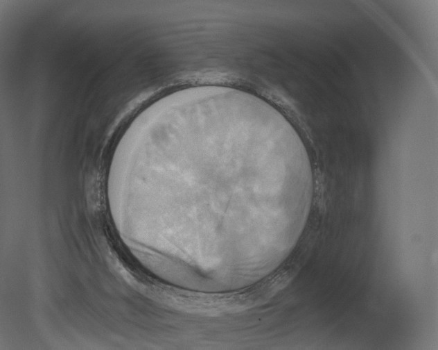 X0000080660012200701121618