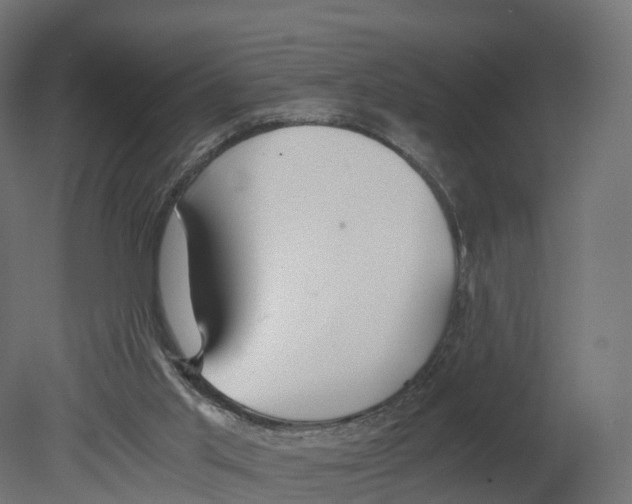 X0000080660013200701121618