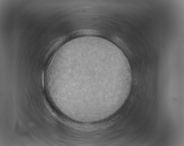 X0000080660014200701121618