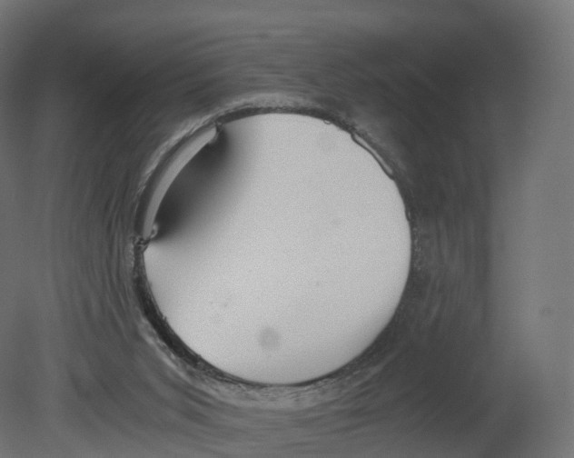 X0000080660015200701121618