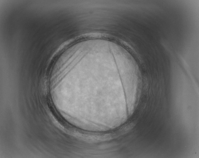 X0000080660016200701121618