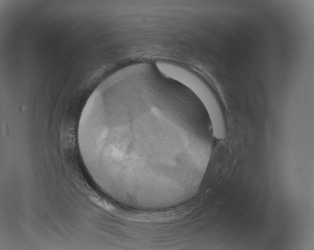 X0000080660017200701121618