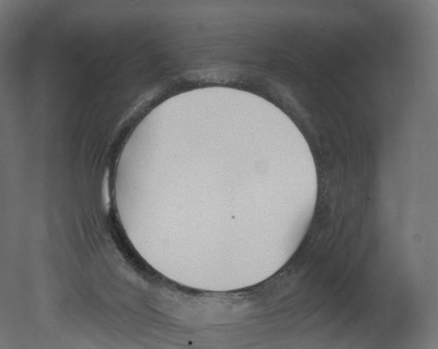 X0000080660020200701121618