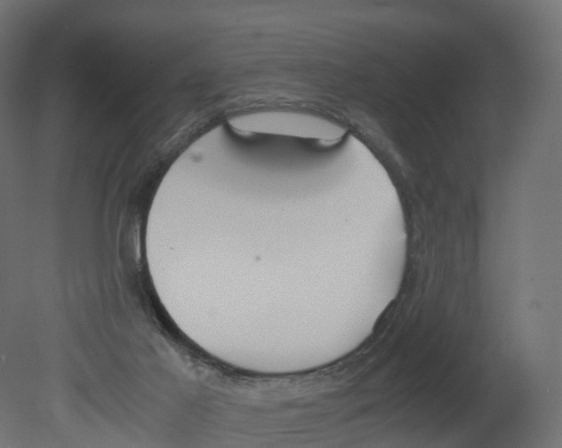 X0000080660021200701121618