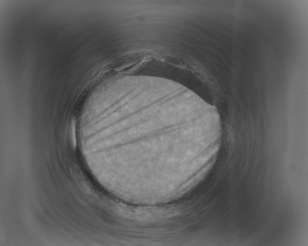 X0000080660022200701121618